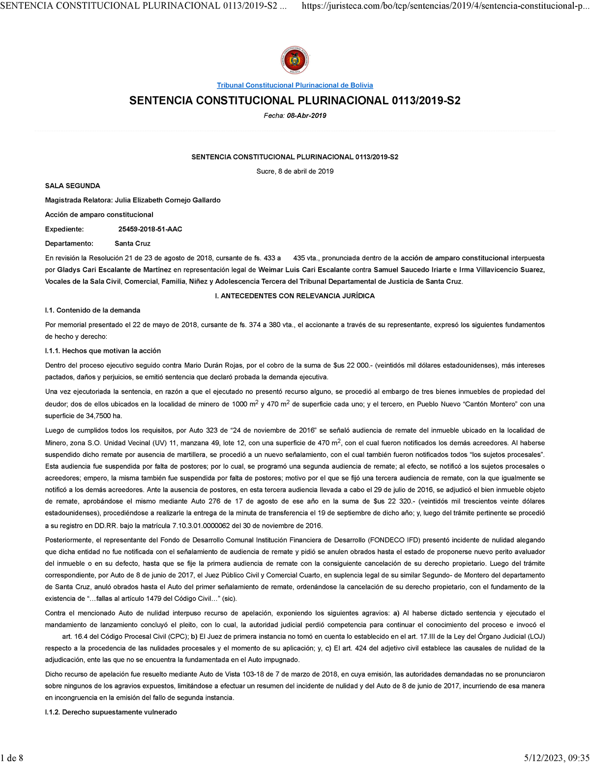 Sentencia Constitucional Plurinacional 0113 2019-S2 Am - Tribunal ...