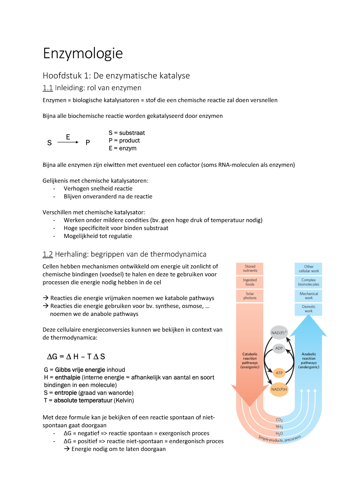 Enzymologie Samenvatting DEEL 1 - Enzymologie Hoofdstuk 1: De ...