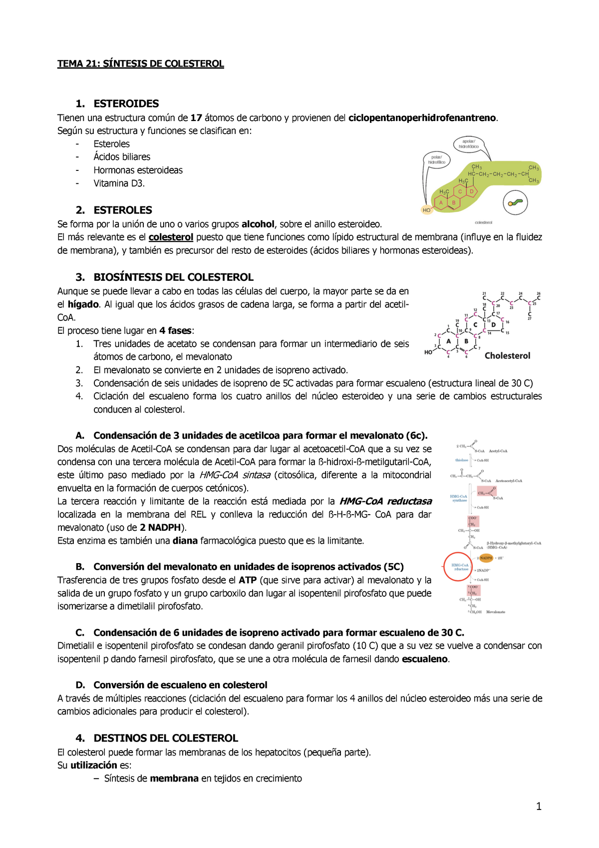 Tema 21 Apuntes Bioquímica Prof Vico Y Patricia Año 2018 2019 Temas