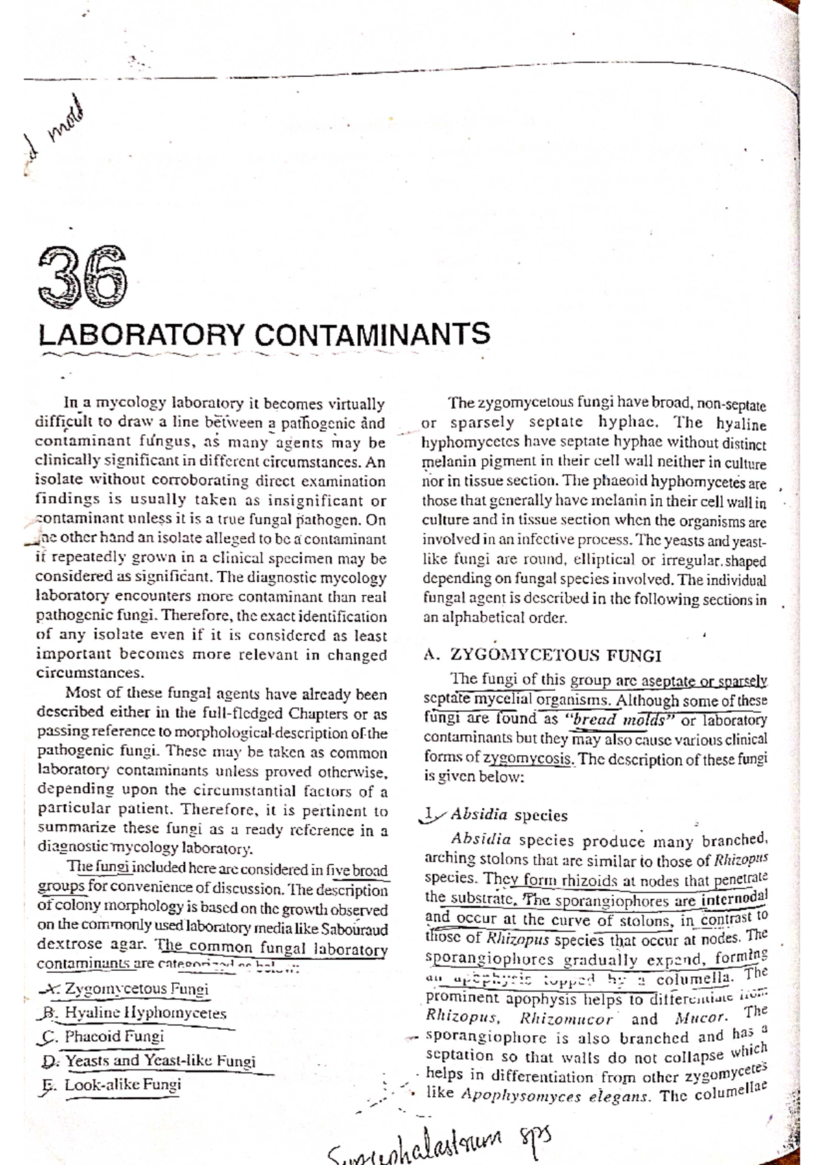 Laboratory contaminants General Microbiology Studocu