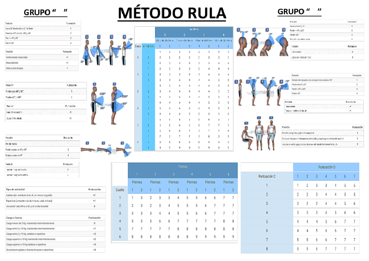 Rula reba merged - xdedee - GRUPO MÉTODO RULA GRUPO Posicion Puntuacion ...