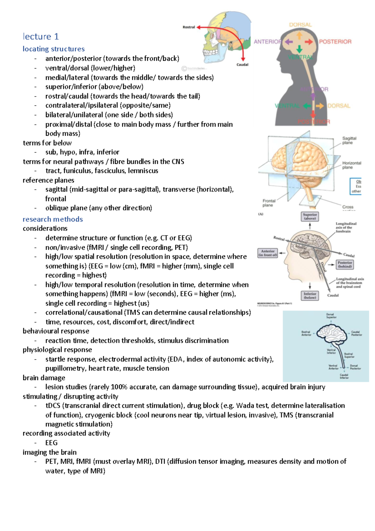 NEUR2020 lecture notes - lecture 1 locating structures anterior ...