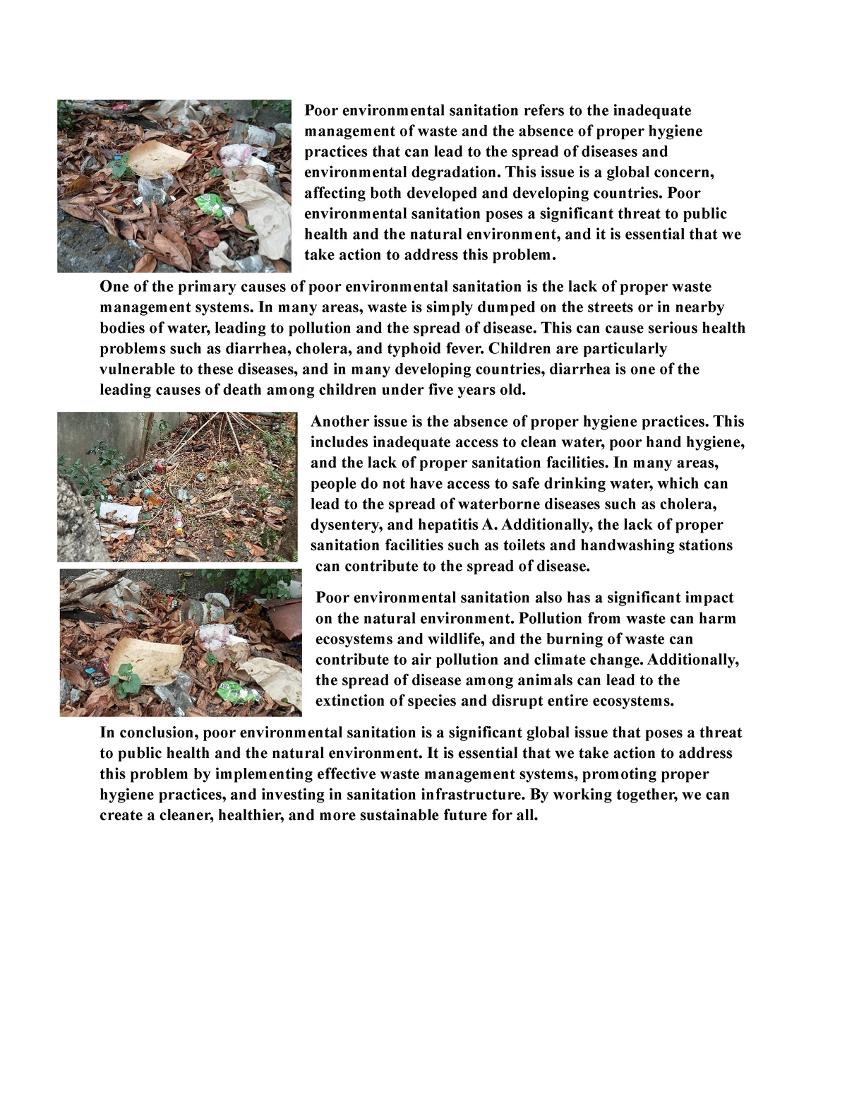 causes of poor sanitation essay