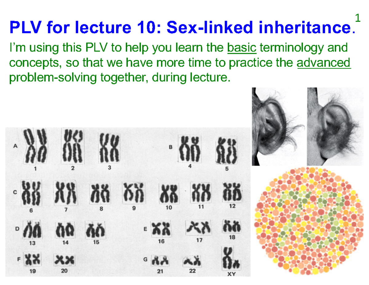 Lecture 3A B PLV full I m Using This PLV To Help You Learn The Basic lecture-3a-b-plv-full-i-m-using-this-plv-to-help-you-learn-the-basic