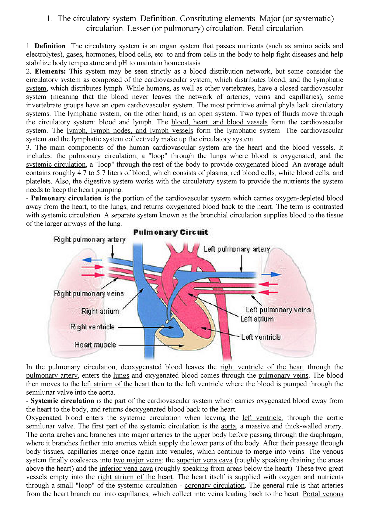 circulatory system introduction essay