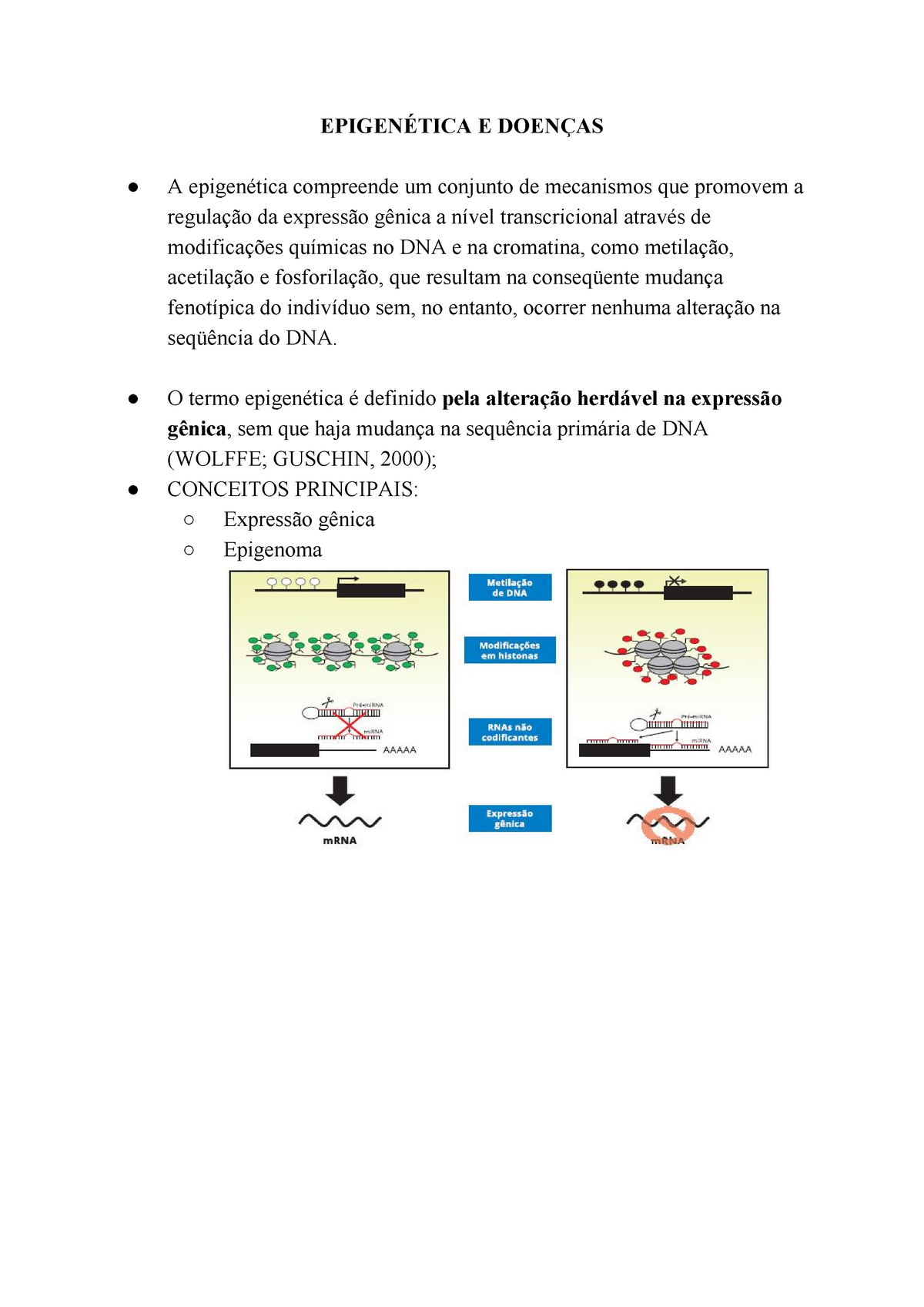 Epigenética e doenças - EPIGENÉTICA E DOENÇAS ○ A epigenética compreende um  conjunto de mecanismos - Studocu