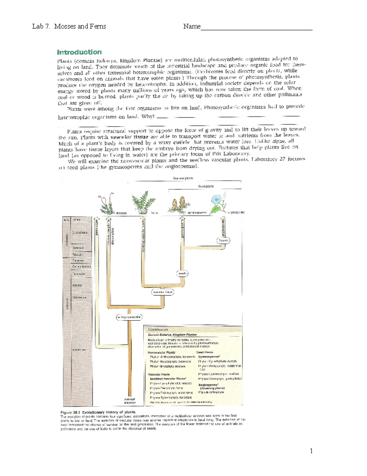 Lab 7. Mosses and Ferns Gen Ed. Lab 7. Mosses and Ferns Name