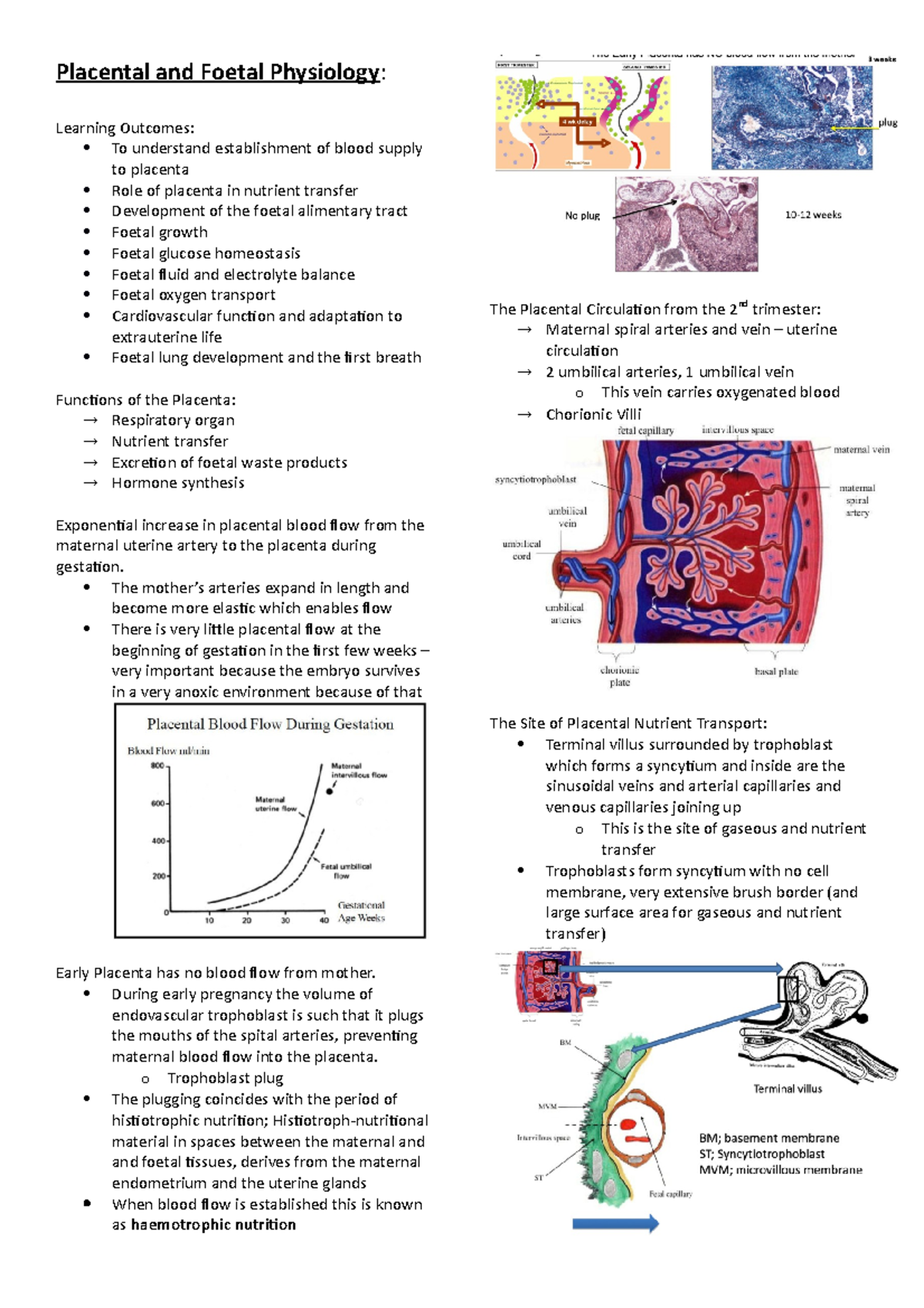 Placental and Fetal Physiology - The mother’s arteries expand in length ...