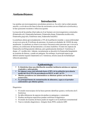 Aines Y Opiaceos - Farmacos PARA EL Dolor - F·rmacos Para El Dolor: Opi ...