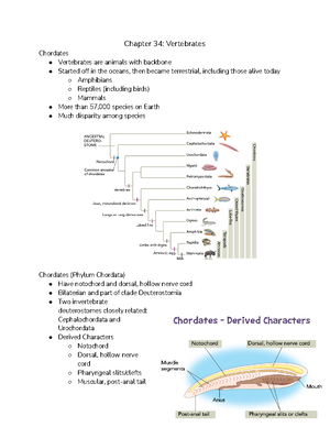 Biology II UNIT 2 - BIOL 1407 - Chapter 26: Phylogeny and The Trees of ...