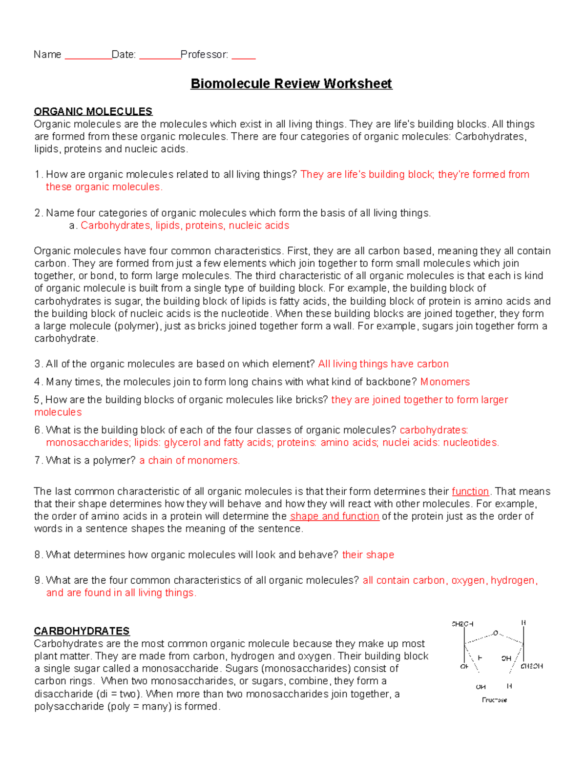 Biomolecule Review Worksheet With Answers Name Date Professor Biomolecule Review Worksheet 