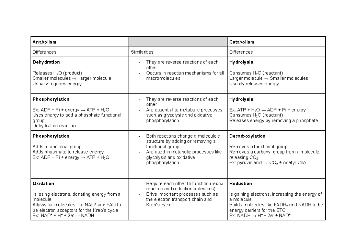Anabolism and Catabolism - Anabolism Catabolism Differences ...