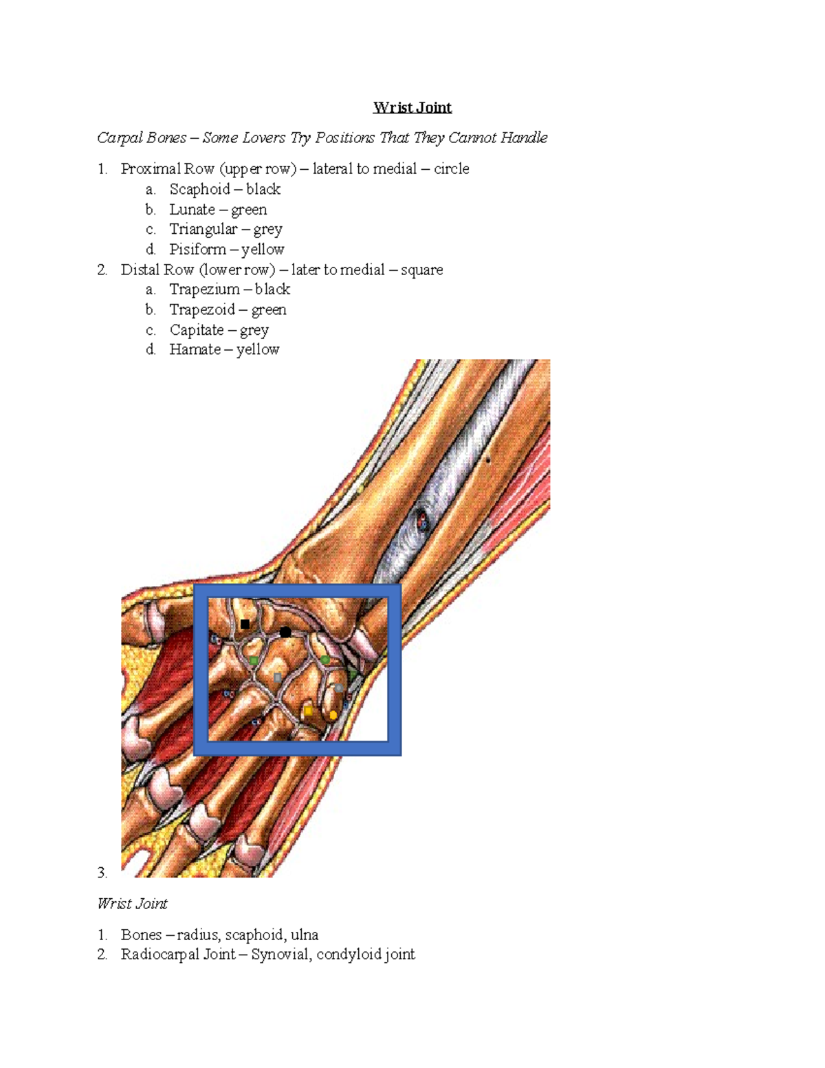 Wrist Joint and Carpal Bones Studocu