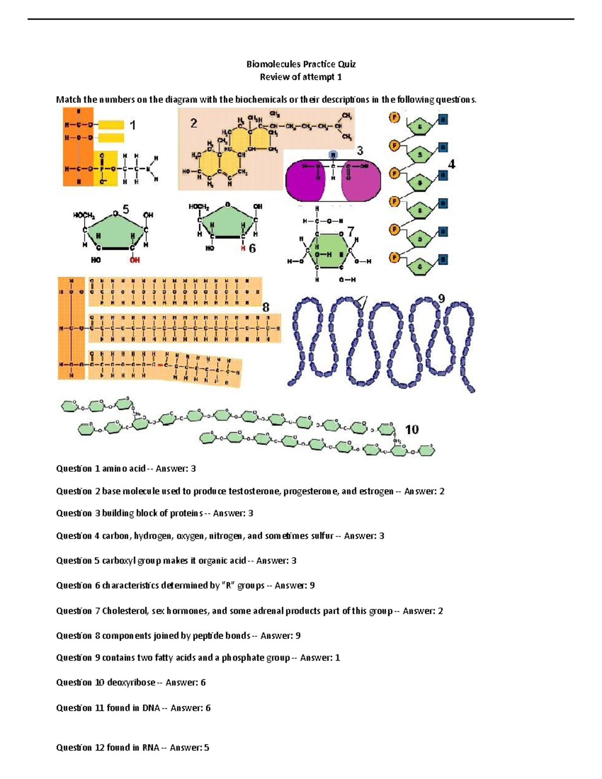 Biomolecules Practice Quiz Biomolecules Practice Quiz Review of