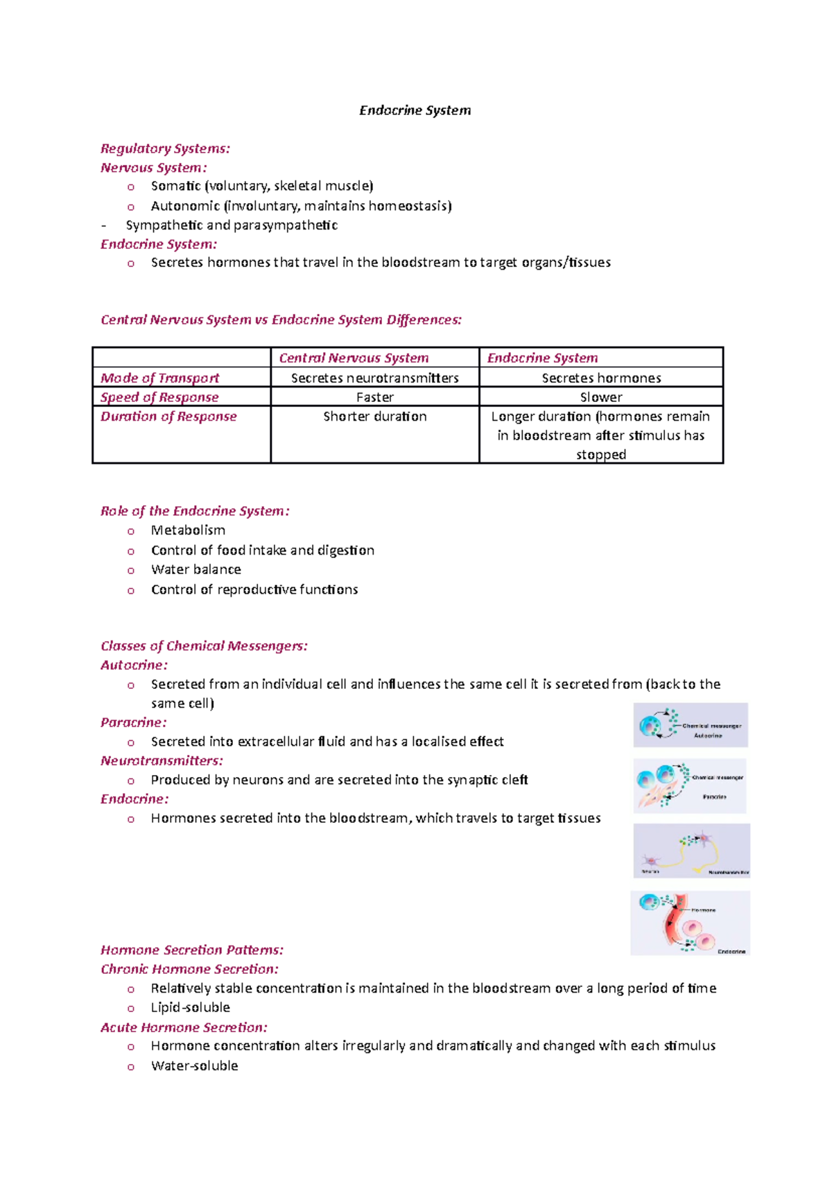 Endocrine System - Studocu