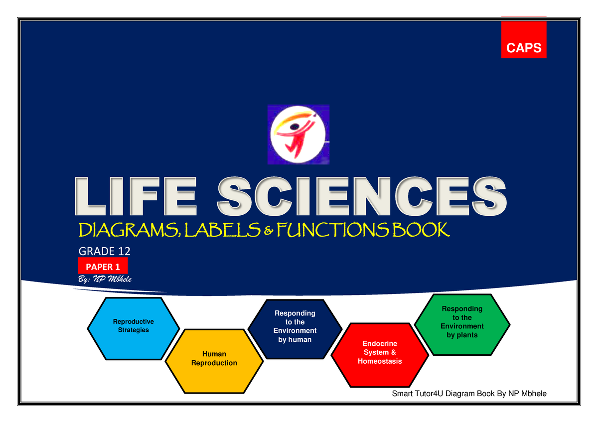 P1 Diagram BOOK GR12 - Notes - LIFE SCIENCES CAPS DIAGRAMS, LABELS ...