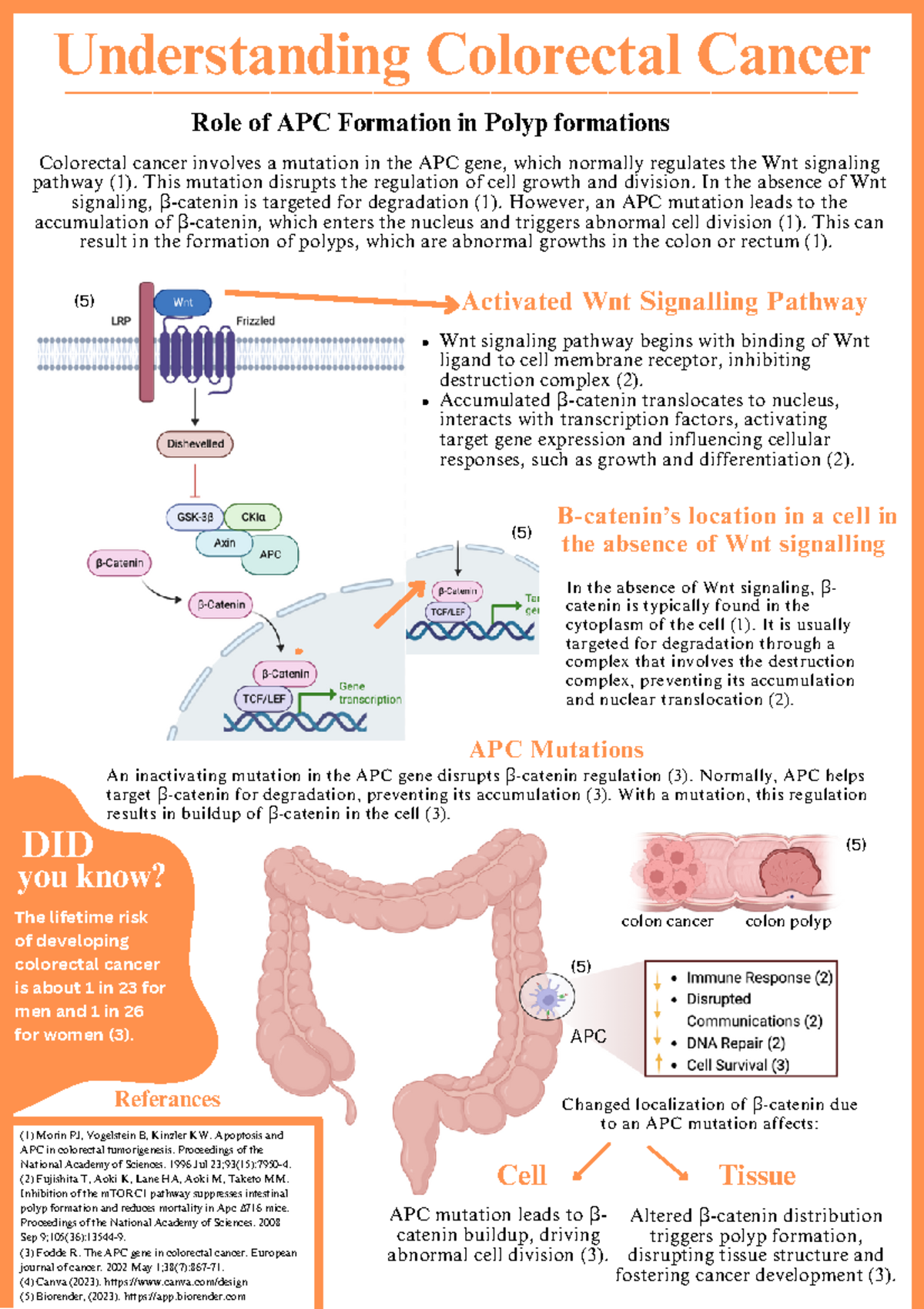 Colorectal Cancer - notes - Activated Wnt Signalling Pathway (1) Morin ...
