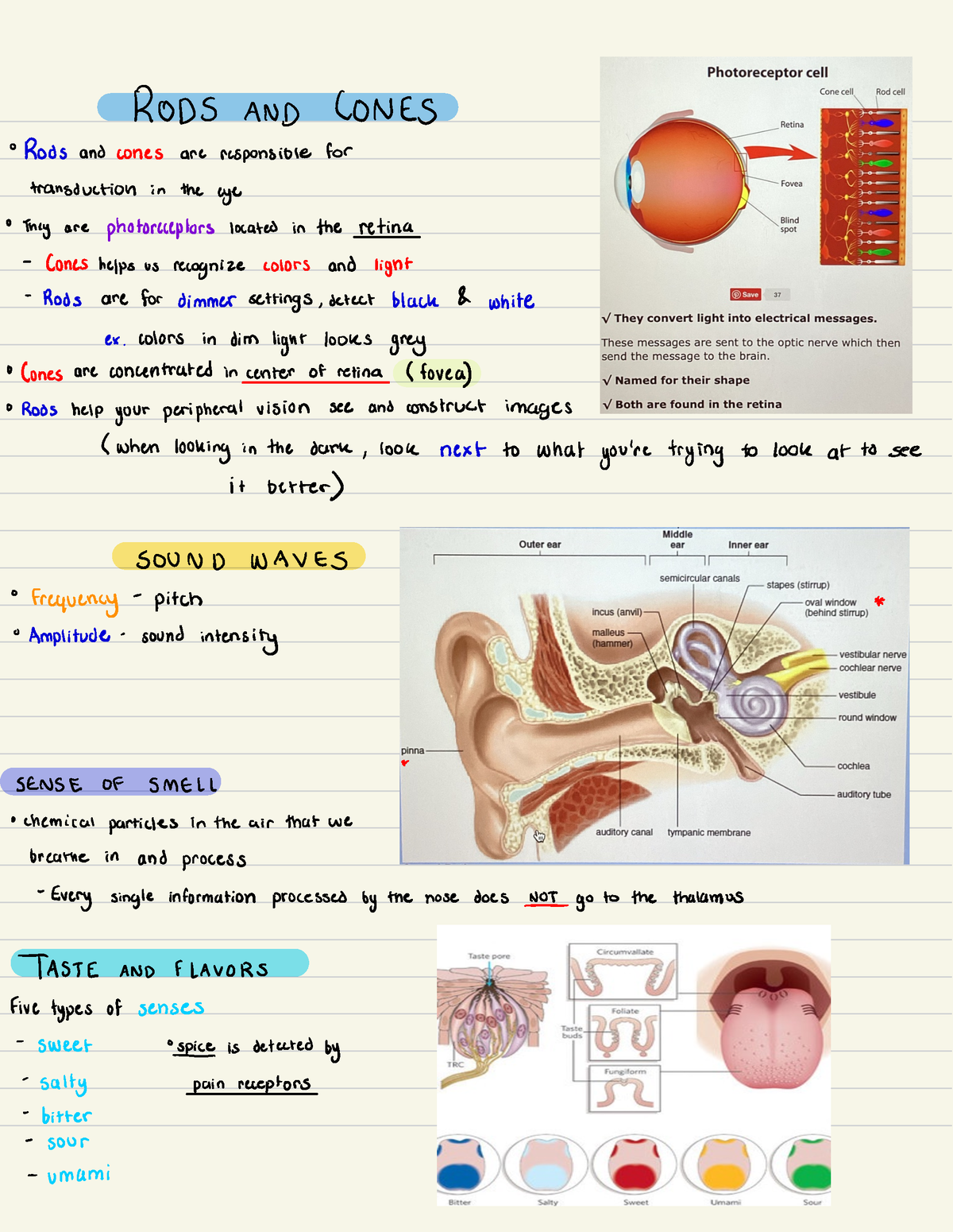 Notes In Class Psychology 8 - PSYC 1000 - Studocu