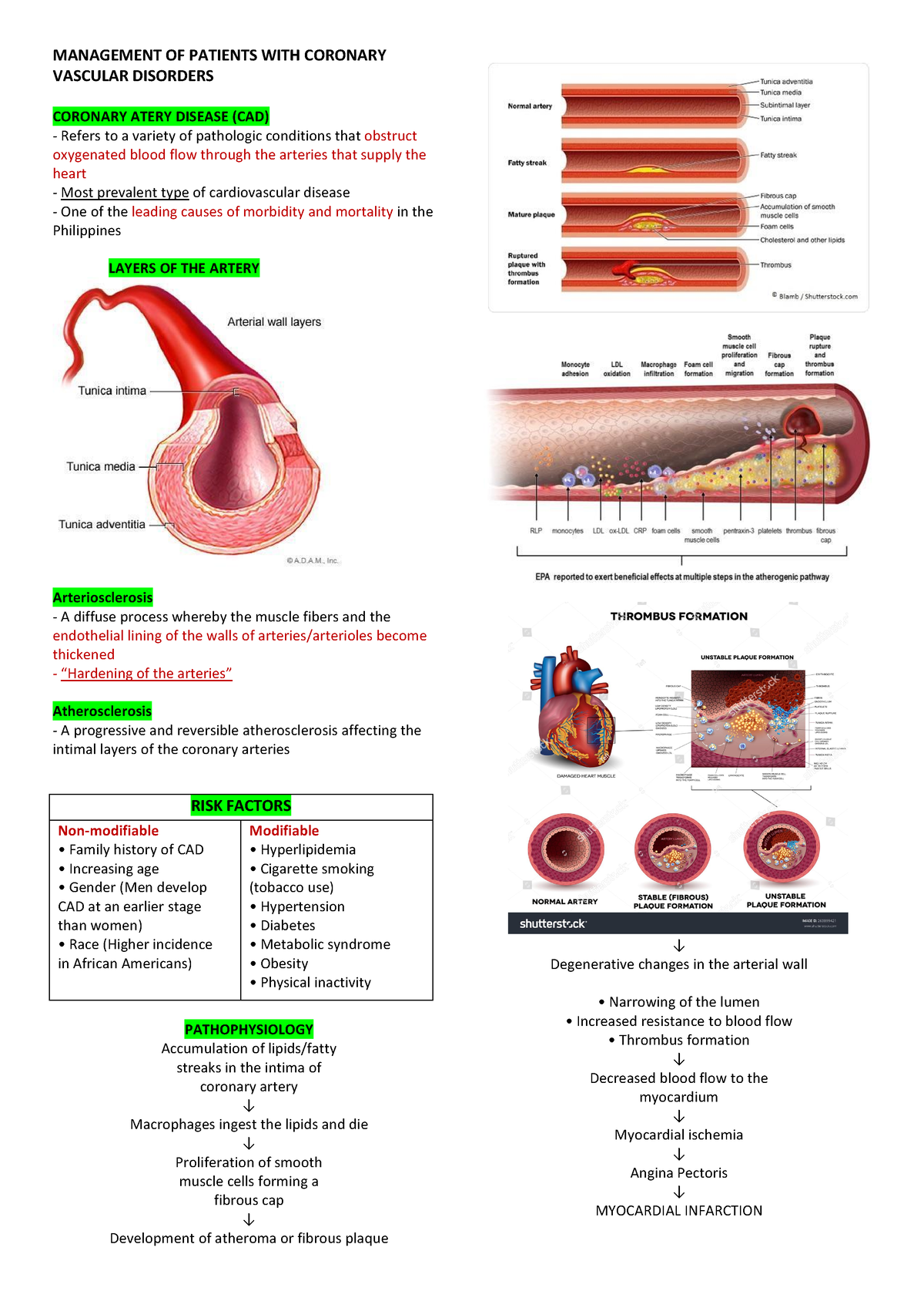 P2 MS LEC - for references - MANAGEMENT OF PATIENTS WITH CORONARY ...