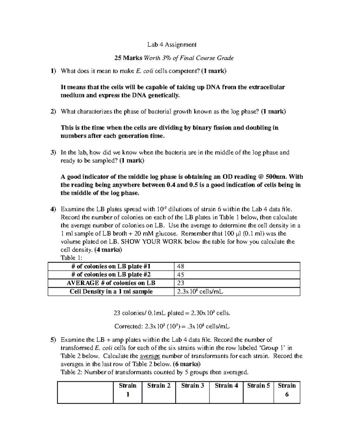 lab 4 assignment