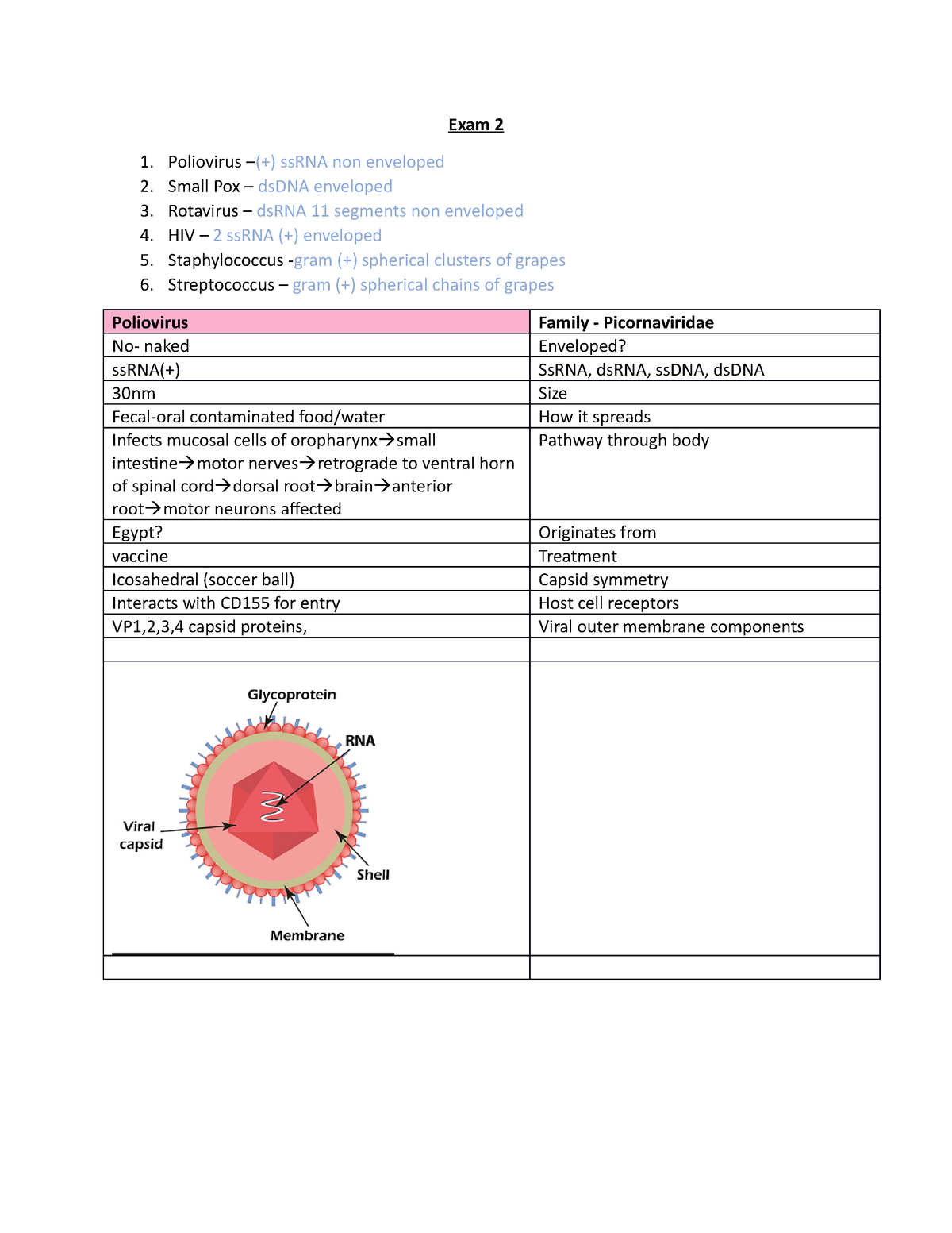 Microbiology Exam II Study Guide - Exam 2 Poliovirus –(+) SsRNA Non ...