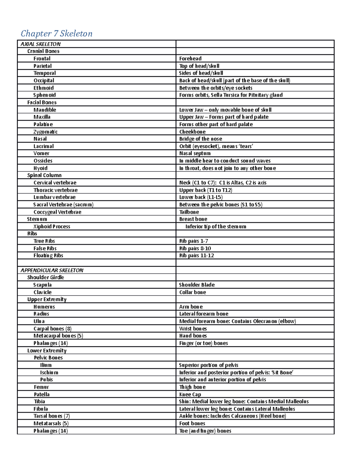 Chapter 7 Skeleton Summary - Chapter 7 Skeleton AXIAL SKELETON Cranial ...