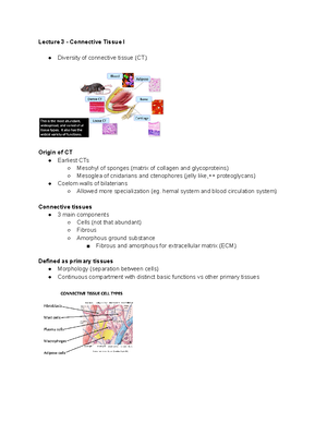 Epithelium notes - ZOO 3000 - Studocu