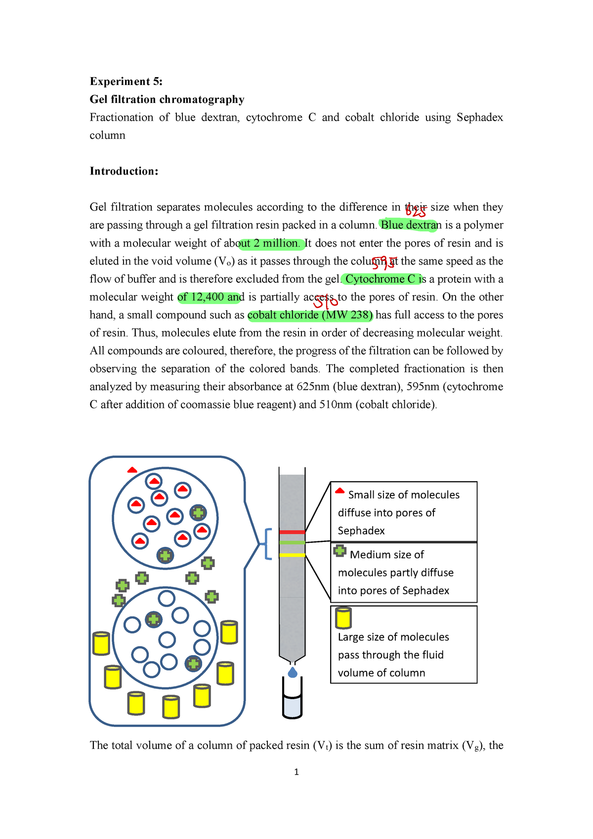 BIOL2103 (lab 5) - ... - Experiment 5 : Gel Filtration Chromatography ...