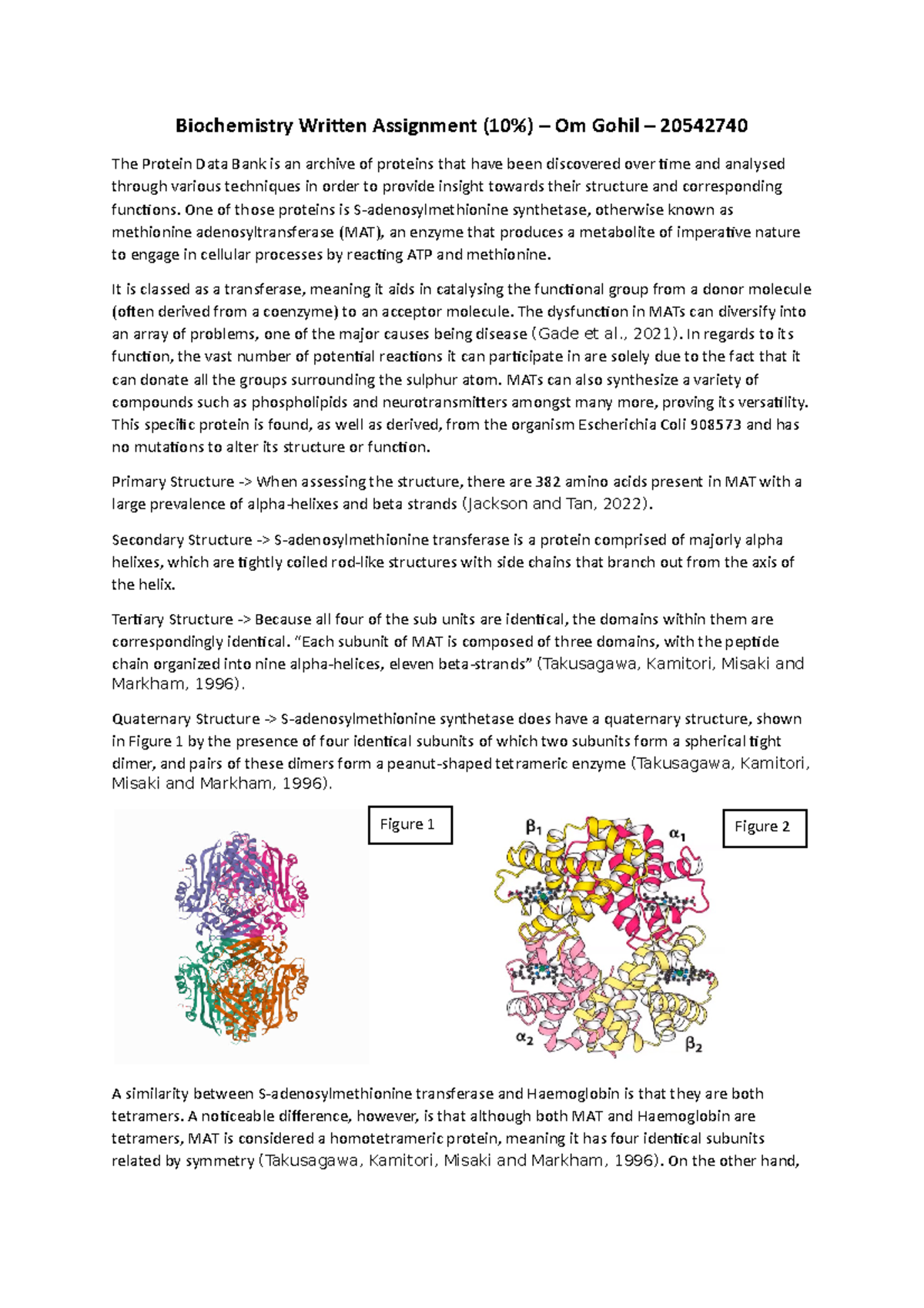 Biochemistry Written Assignment - One of those proteins is S ...