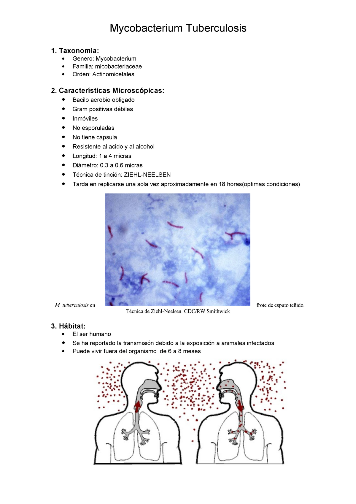 Mycobacterium Tuberculosis Mycobacterium Tuberculosis Taxonomia Genero Mycobacterium