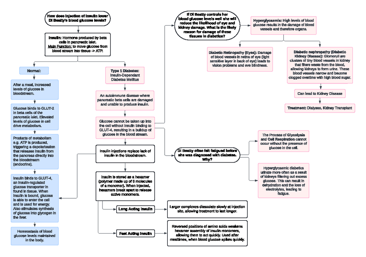 Biosci Lab 2 Concept Map How does injection of insulin lower Di