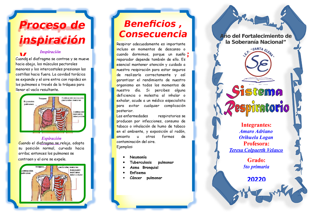 Enfermedades Del Sistema Digestivo Para Niños De Primaria