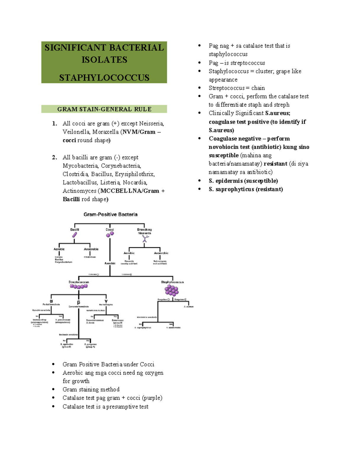 Staphy-1 - lecture - SIGNIFICANT BACTERIAL ISOLATES STAPHYLOCOCCUS GRAM ...