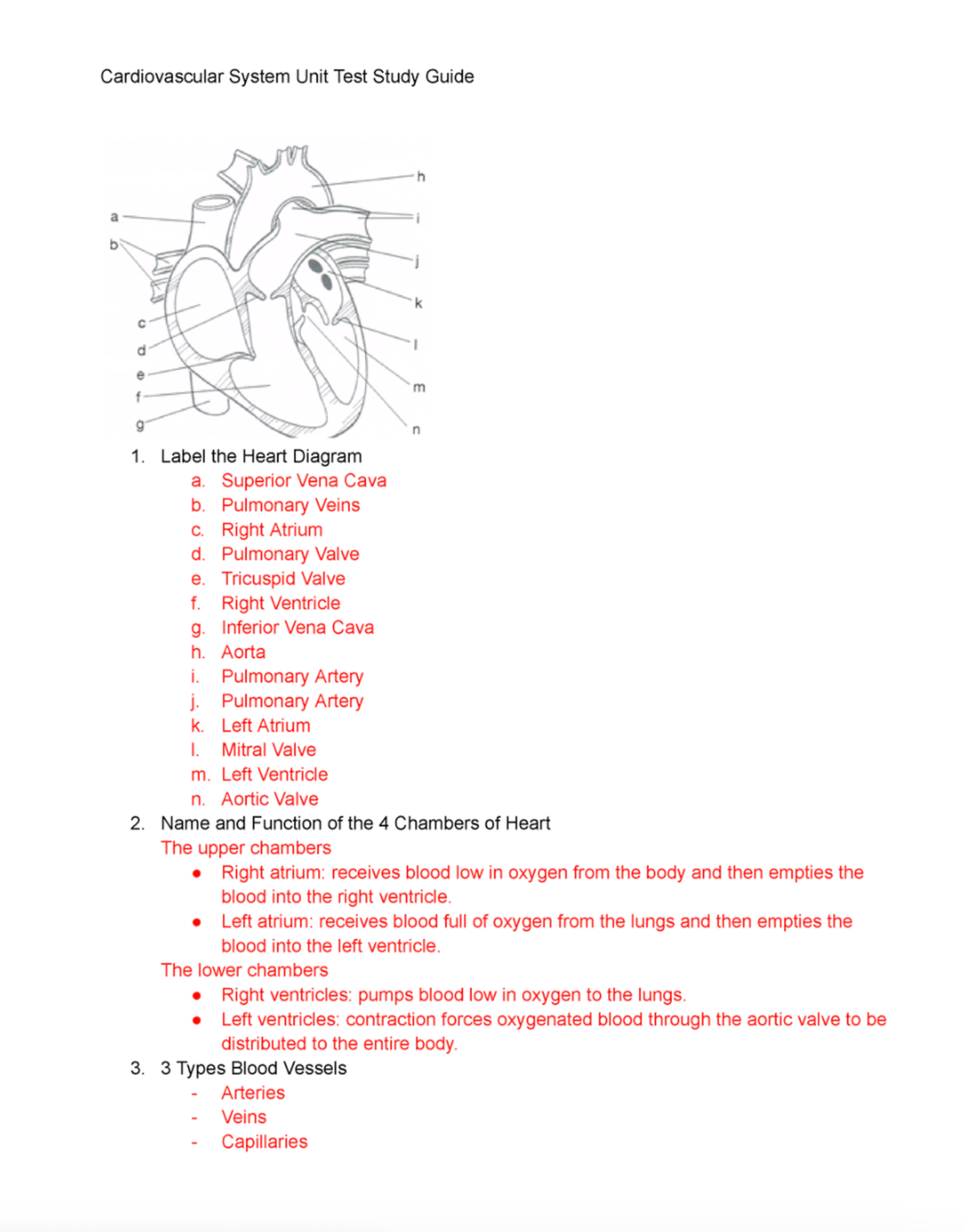 Anatomy And Physiology Cardiovascular - BIOL122 - Studocu