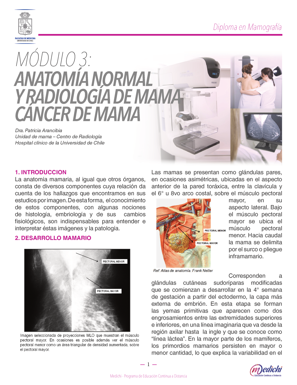 01 Anatomia Normaly Radiologiade Mama 1 MÓdulo 3 AnatomÍa Normal Y RadiologÍa De Mama CÁncer 2595