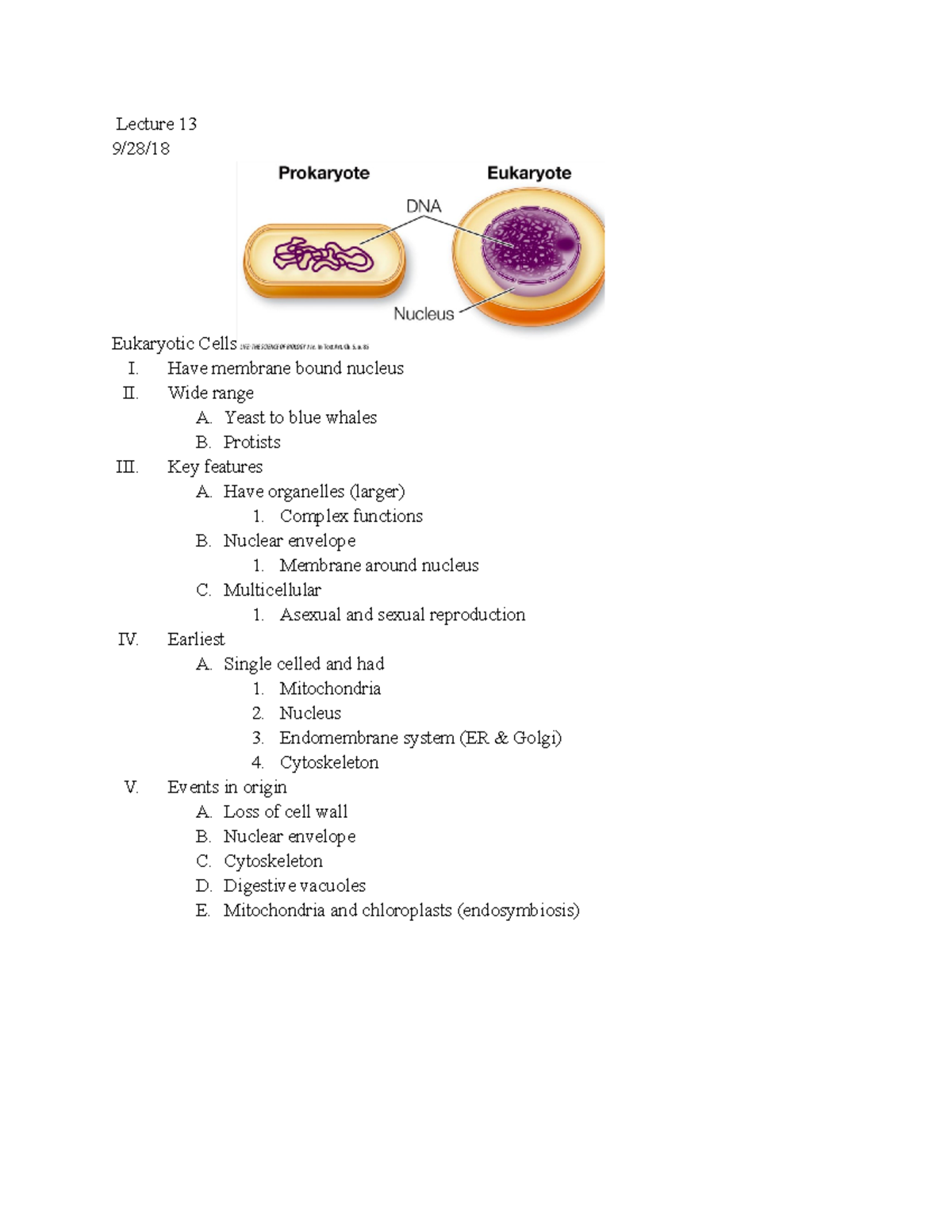 Bio Lec Lecture Notes Lecture Eukaryotic Cells I