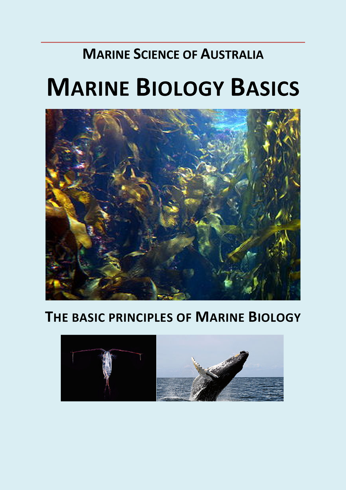 phd australia marine biology