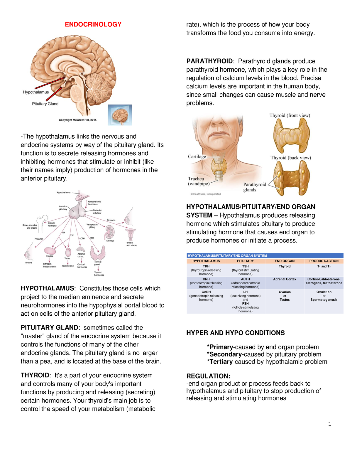 Endocrinology-reviewer - 1 Endocrinology -the Hypothalamus Links The 