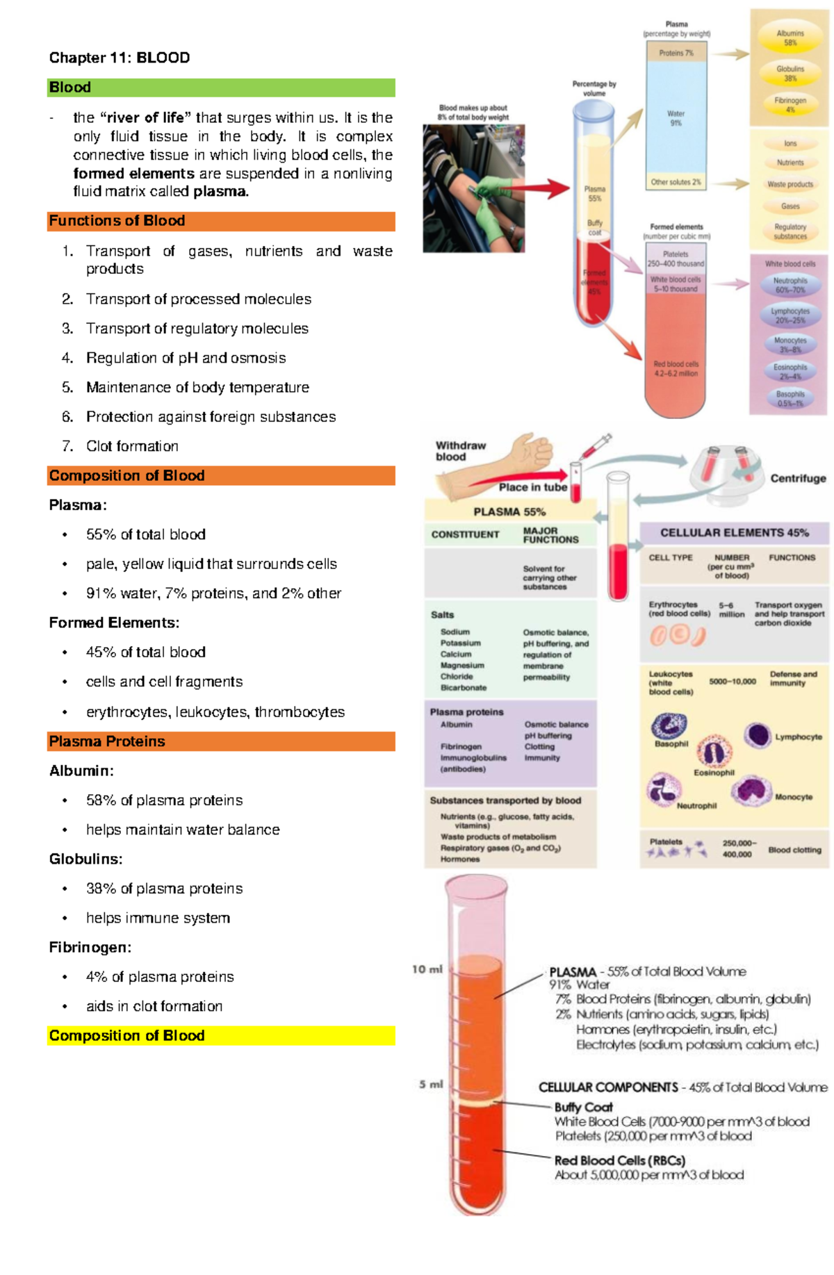 Anatomy and Physiology Chapter 11 - Chapter 11: BLOOD Blood the “river ...