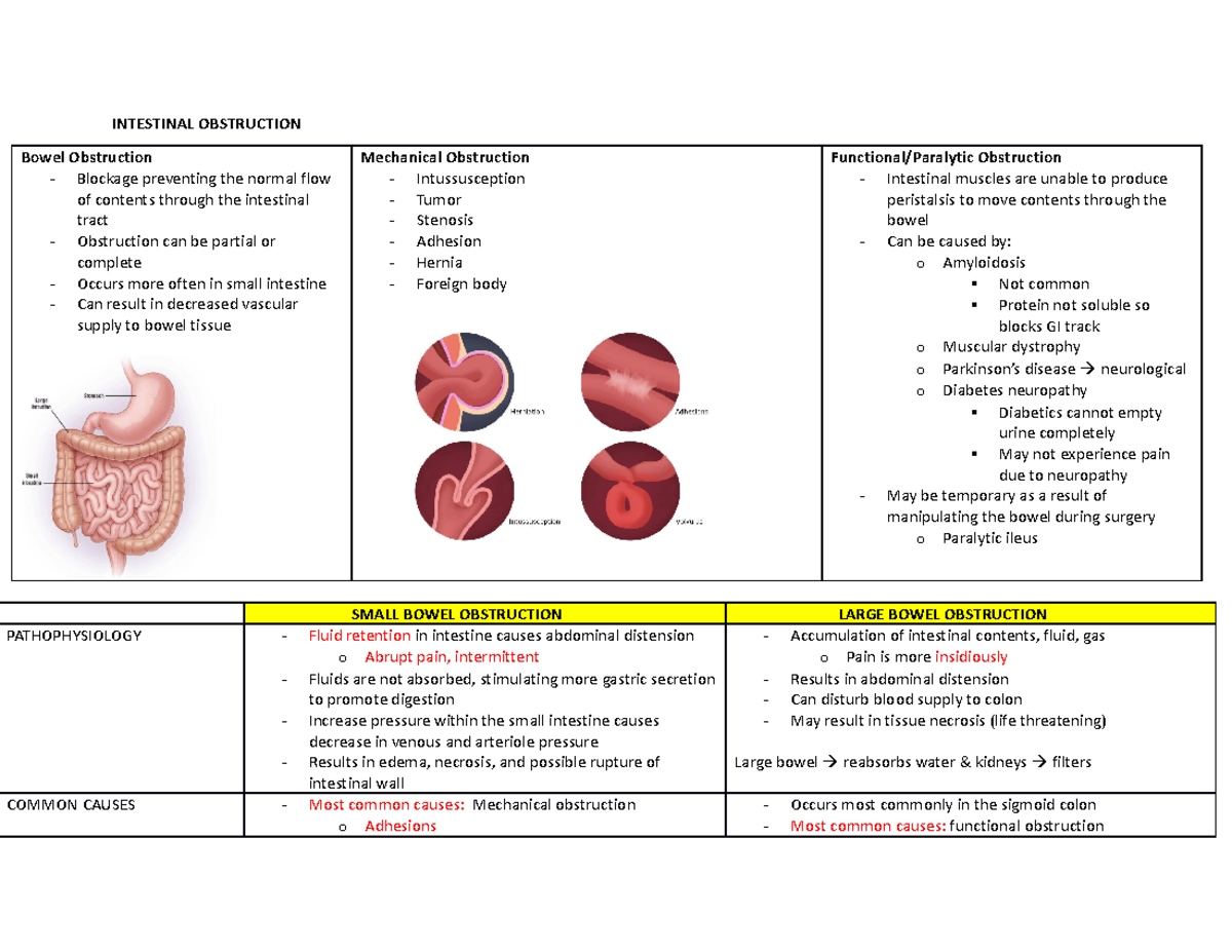 3. Bowel Obstruction INTESTINAL OBSTRUCTION Bowel Obstruction