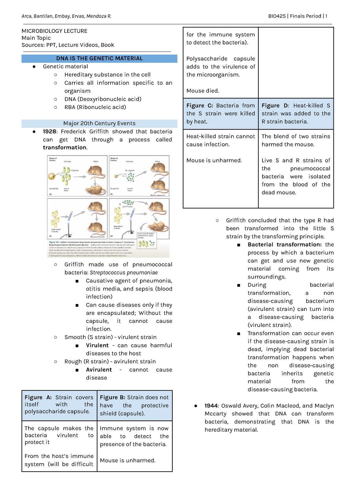 [BIO425] Chapter 6. Genetics Of Bacteria - MICROBIOLOGY LECTURE Main ...