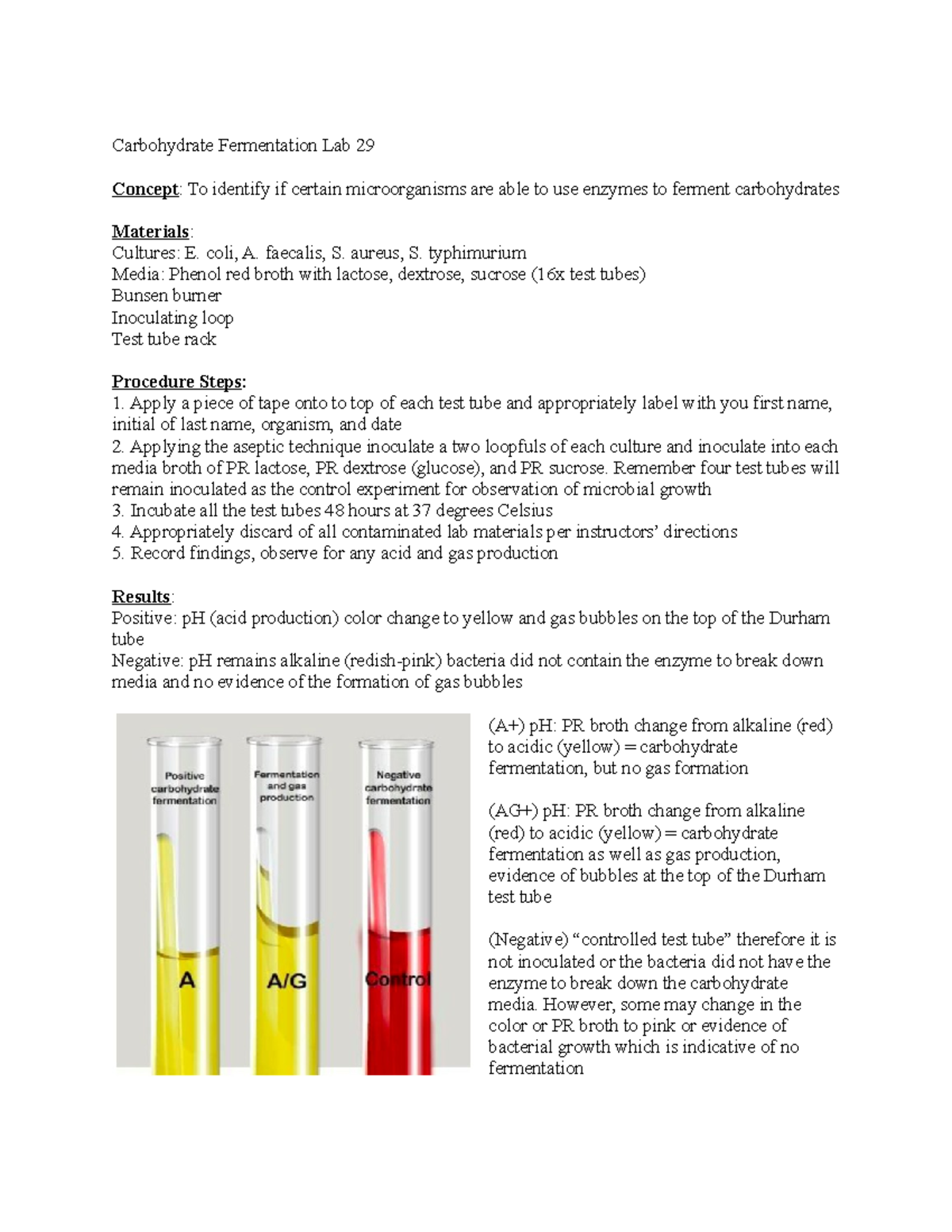 Lab 29, 31 Labs Carbohydrate Fermentation Lab 29 Concept To