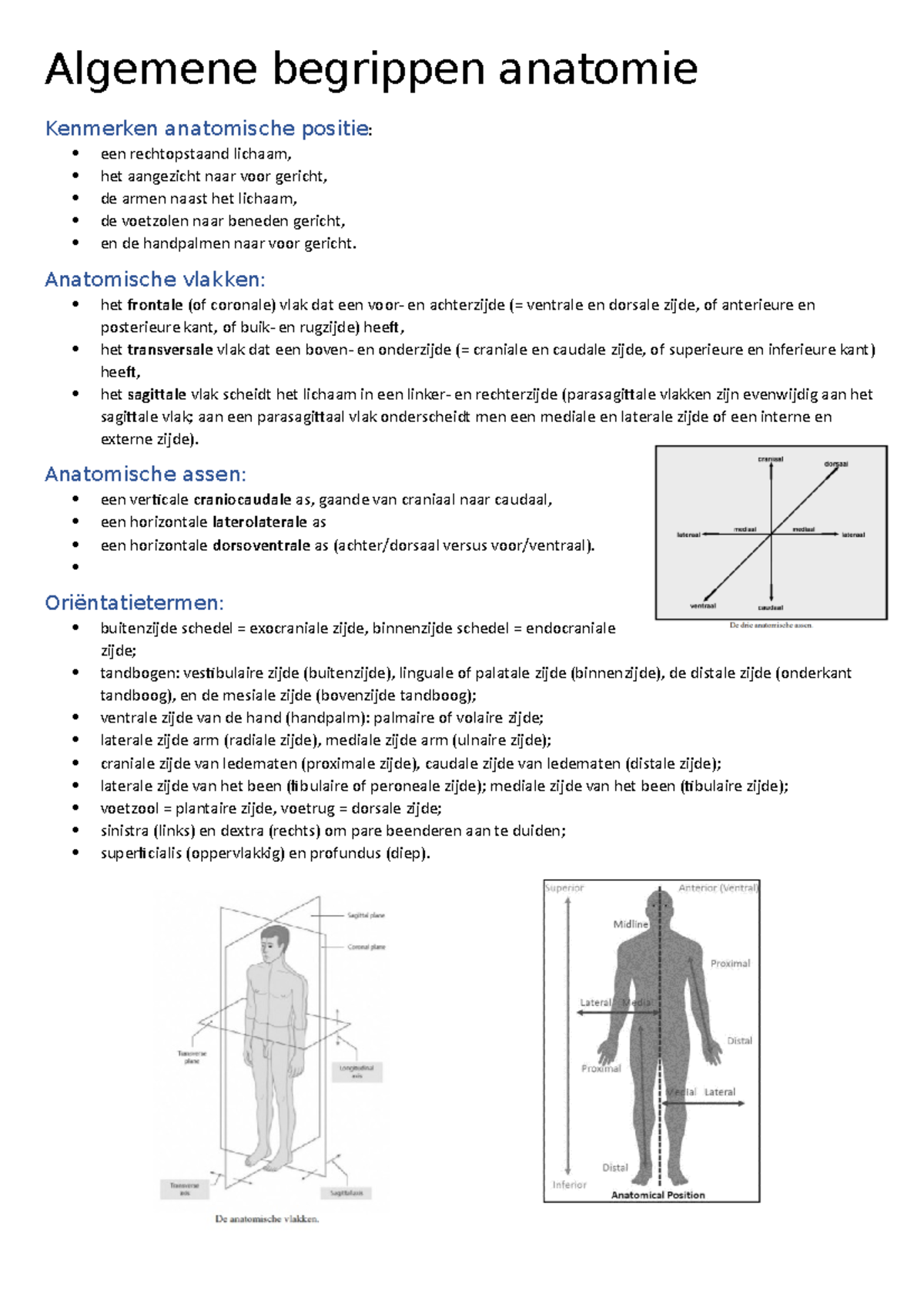 Samenvatting Algemene Begrippen: Anatomische Positie, Vlakken, Assen En ...