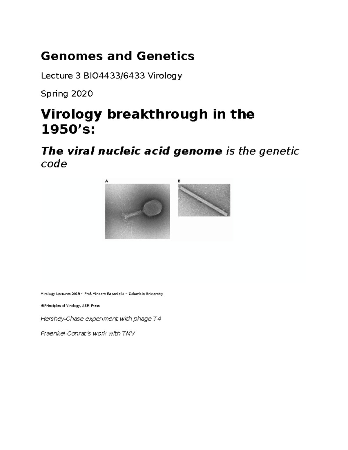 Virology 3 - Lecture Notes 3 - Genomes And Genetics Lecture 3 BIO4433 ...