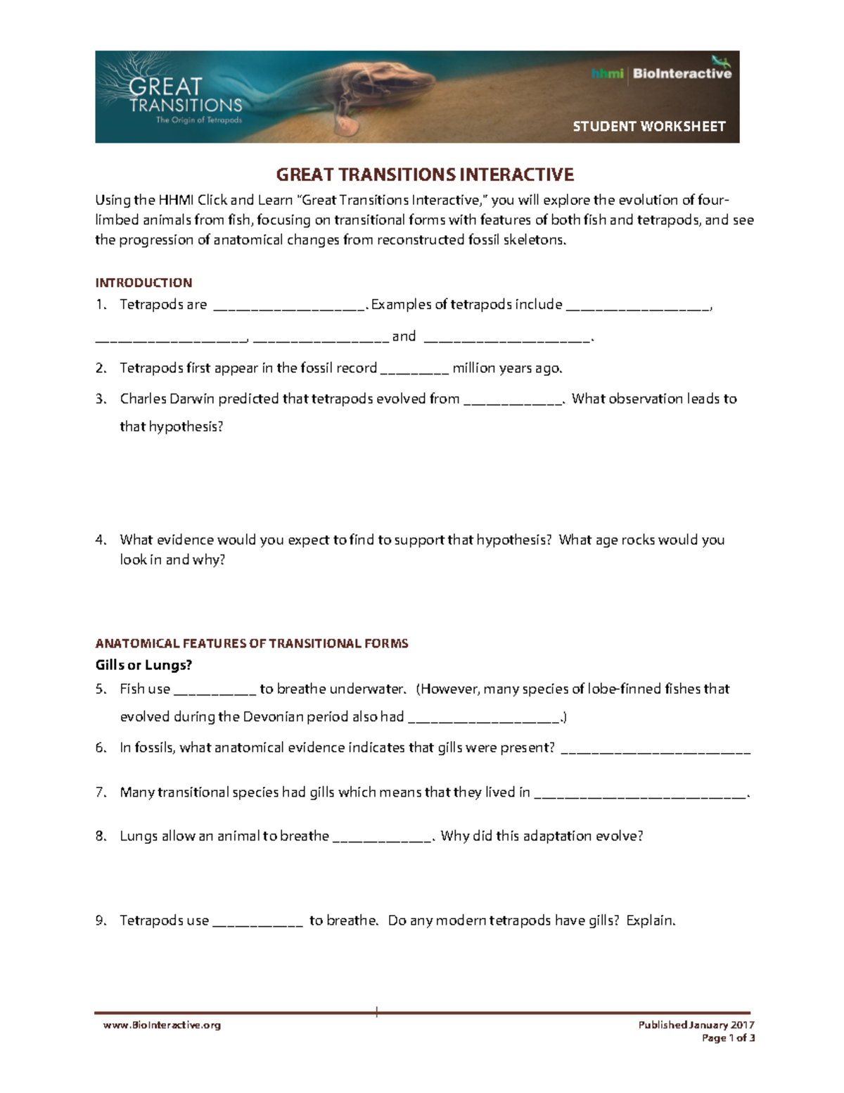 Microsoft Word TetrapodGreat Trans Interactiveworksheet
