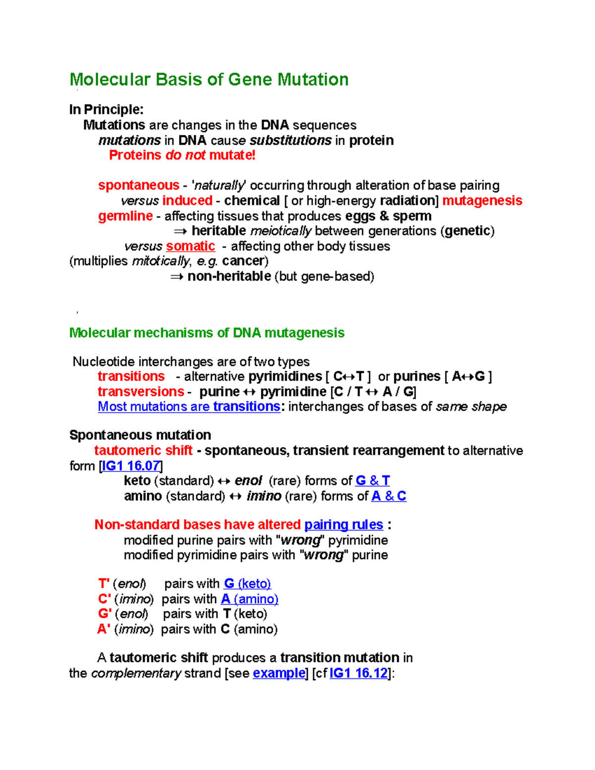 Molecular Basis of Gene Mutation lecture notes 10 StuDocu