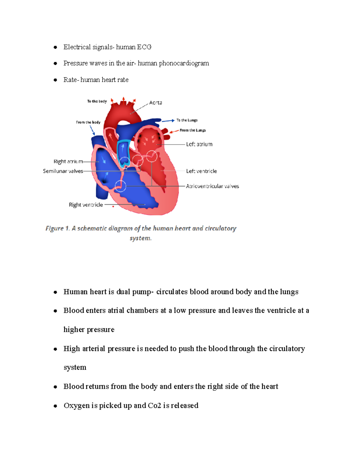 Cardiac Cycle of the Heart - Electrical signals- human ECG Pressure ...