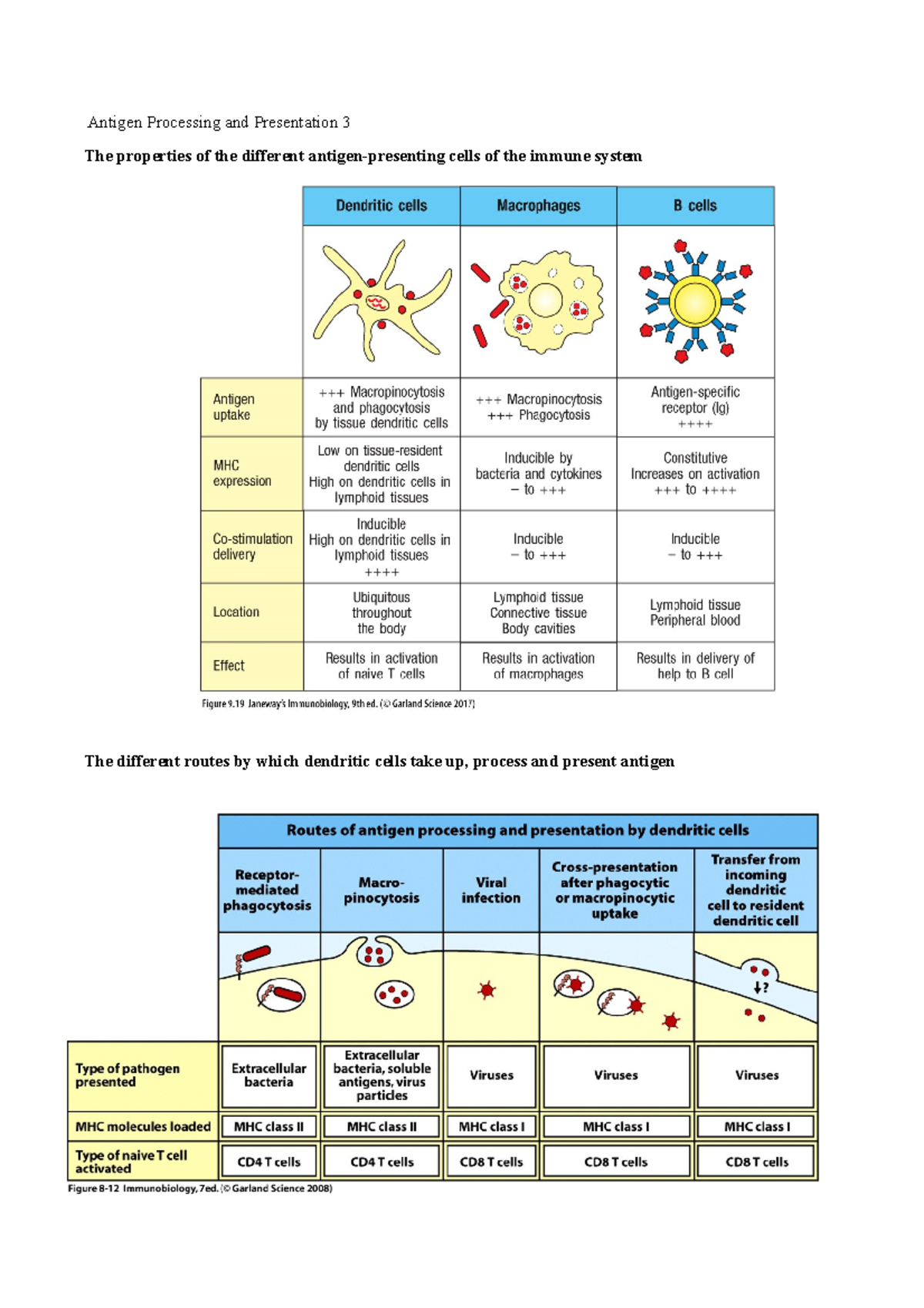 Antigen Processing and Presentation 3 - and loaded onto MHC class I ...