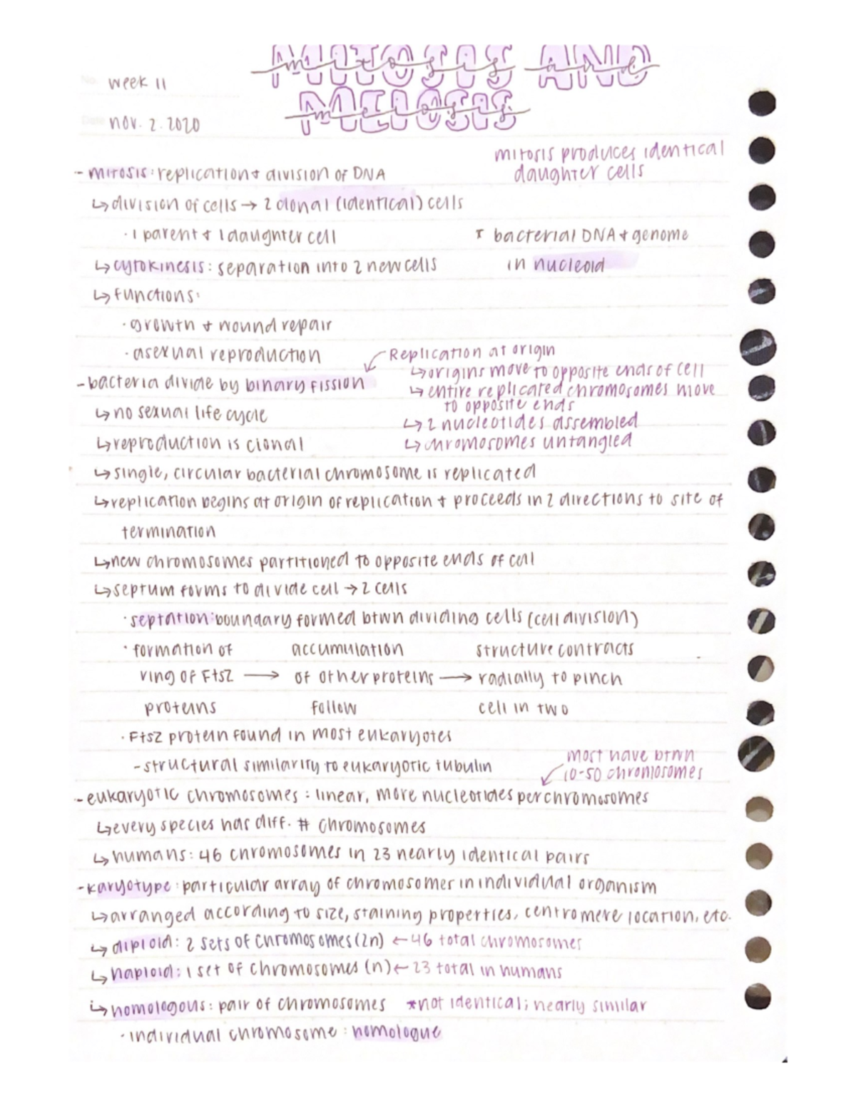 Mitosis & meiosis - Lecture notes from Dr. Warren's BIOL200 class ...