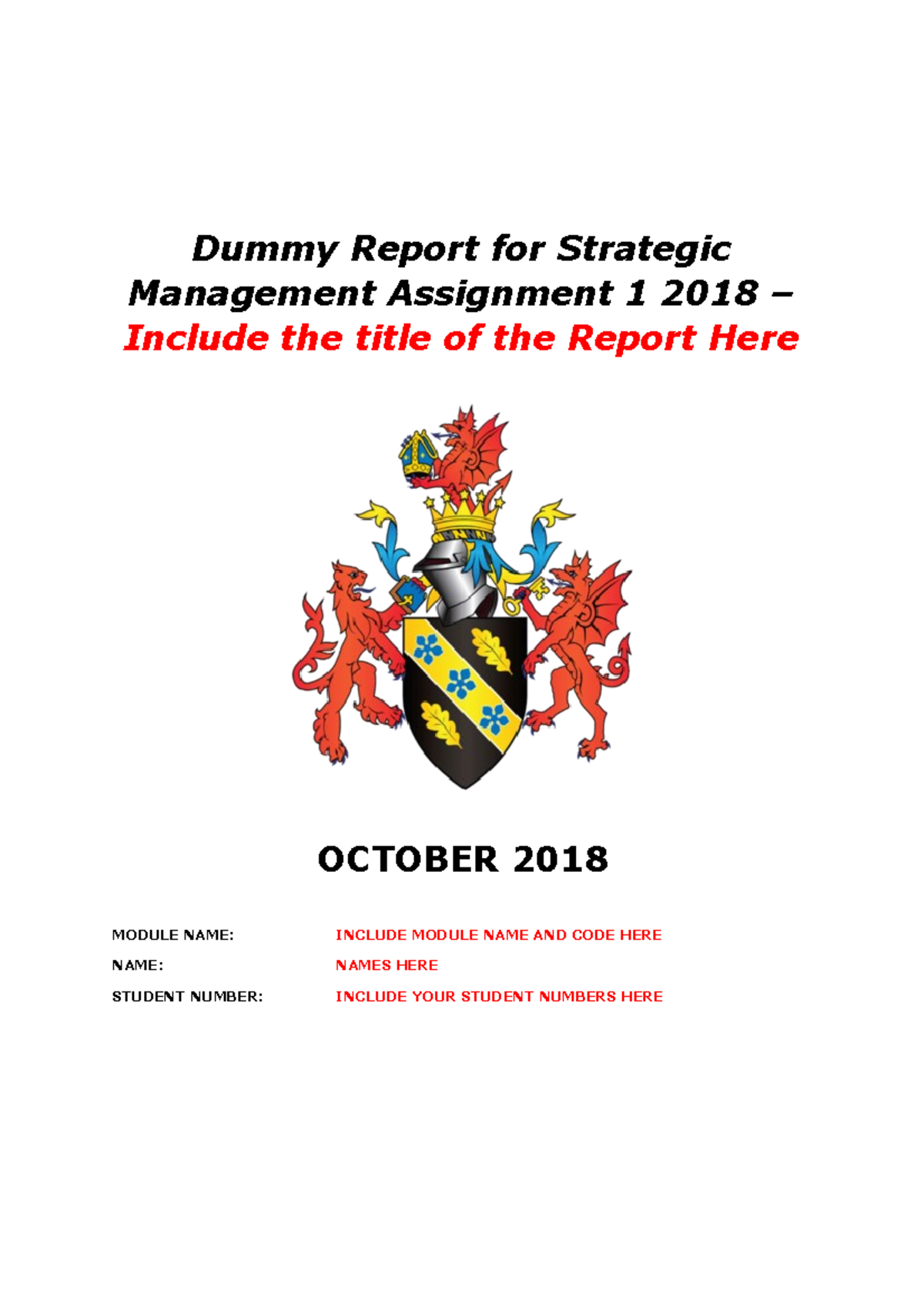 Moodle Dummy Report Strategic Management (2) Dummy Report for